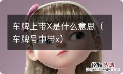 车牌号中带x 车牌上带X是什么意思