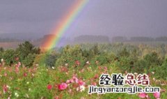 彩虹花卉怎么样 彩虹花卉怎么养