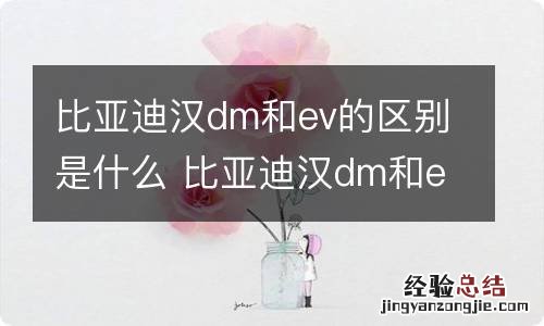 比亚迪汉dm和ev的区别是什么 比亚迪汉dm和ev的外观区别