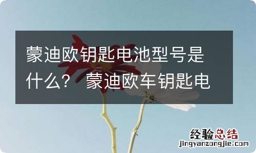 蒙迪欧钥匙电池型号是什么? 蒙迪欧车钥匙电池什么型号