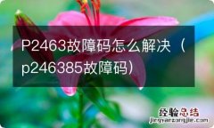 p246385故障码 P2463故障码怎么解决