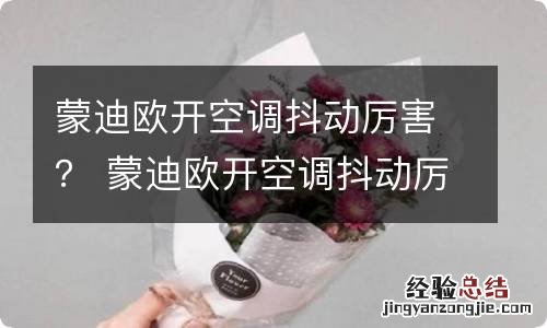 蒙迪欧开空调抖动厉害？ 蒙迪欧开空调抖动厉害怎么回事?