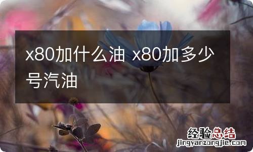 x80加什么油 x80加多少号汽油