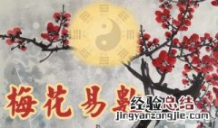 梅花易数是可以什么都能预测吗 梅花易数是不是什么都能预测