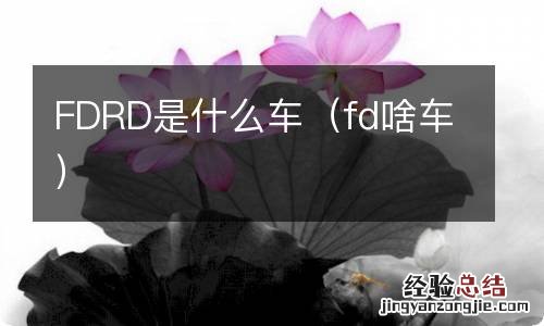 fd啥车 FDRD是什么车