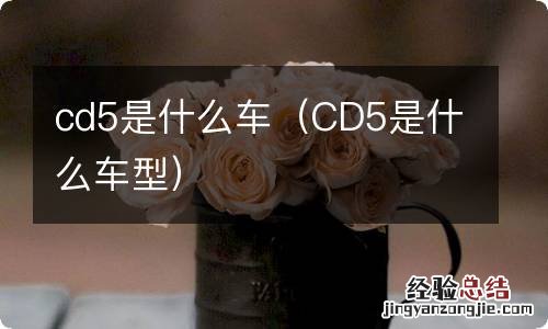 CD5是什么车型 cd5是什么车