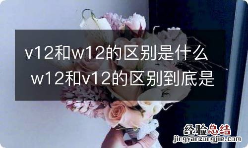 v12和w12的区别是什么 w12和v12的区别到底是什么呢