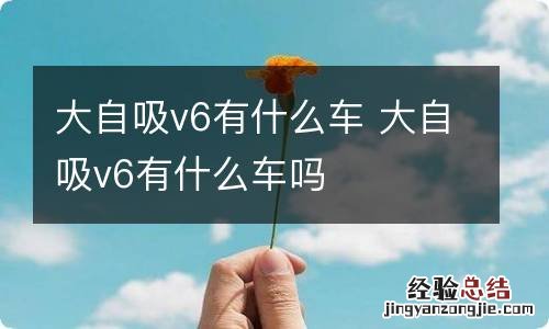 大自吸v6有什么车 大自吸v6有什么车吗