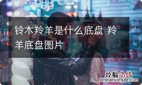铃木羚羊是什么底盘 羚羊底盘图片