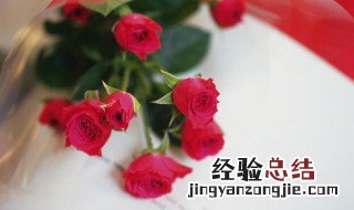 做玫瑰花的材料叫什么 玫瑰花的可以用来做什么