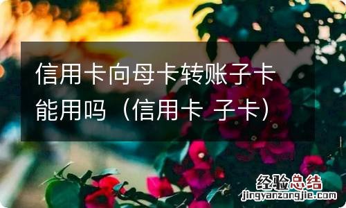 信用卡 子卡 信用卡向母卡转账子卡能用吗
