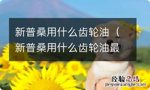 新普桑用什么齿轮油最好 新普桑用什么齿轮油