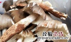 鸡枞菌如何找 鸡枞菌怎么好找