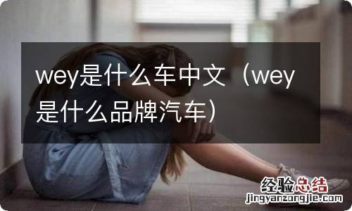 wey是什么品牌汽车 wey是什么车中文