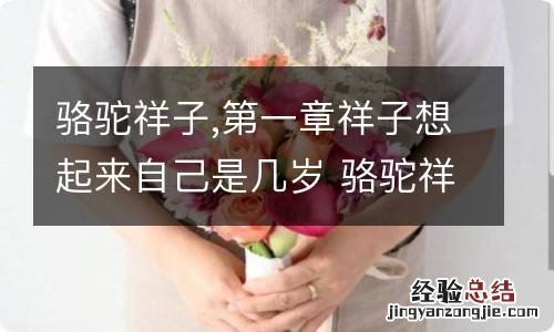 骆驼祥子,第一章祥子想起来自己是几岁 骆驼祥子第一章祥子想起来自己