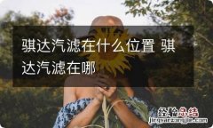 骐达汽滤在什么位置 骐达汽滤在哪