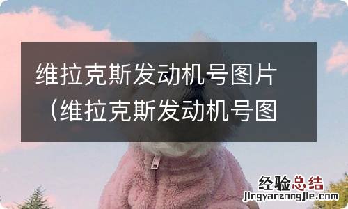维拉克斯发动机号图片大全 维拉克斯发动机号图片