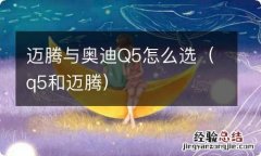 q5和迈腾 迈腾与奥迪Q5怎么选