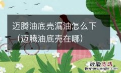 迈腾油底壳在哪 迈腾油底壳漏油怎么下