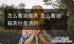 怎么看油箱表 怎么看油箱表针是满的