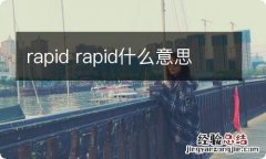 rapid rapid什么意思