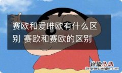 赛欧和爱唯欧有什么区别 赛欧和赛欧的区别