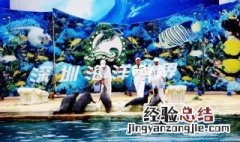 深圳海洋世界简介 深圳海洋世界介绍