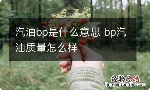 汽油bp是什么意思 bp汽油质量怎么样