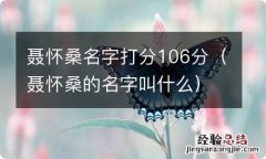 聂怀桑的名字叫什么 聂怀桑名字打分106分