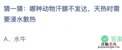 蚂蚁庄园小鸡今日最新答案：哪种动物汗腺不发达？水牛还是马