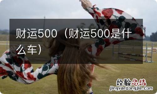 财运500是什么车 财运500