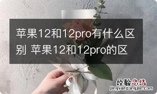 苹果12和12pro有什么区别 苹果12和12pro的区别