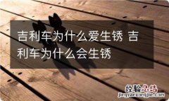 吉利车为什么爱生锈 吉利车为什么会生锈