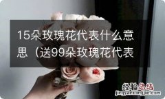 送99朵玫瑰花代表什么意思 15朵玫瑰花代表什么意思