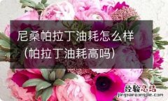 帕拉丁油耗高吗 尼桑帕拉丁油耗怎么样