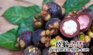 山竹放久后表皮会腐烂吗 山竹多久会坏
