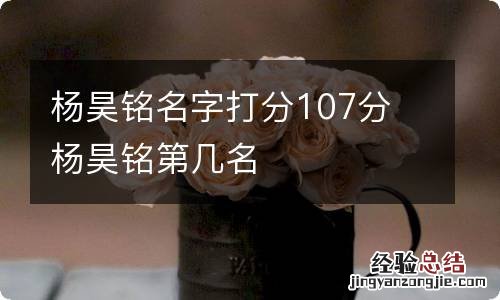 杨昊铭名字打分107分 杨昊铭第几名