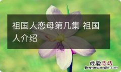 祖国人恋母第几集 祖国人介绍