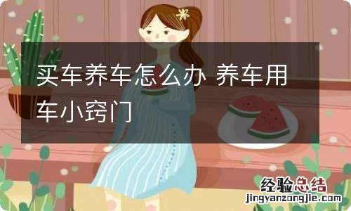 买车养车怎么办 养车用车小窍门