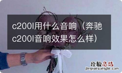 奔驰c200l音响效果怎么样 c200l用什么音响