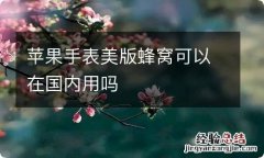 苹果手表美版蜂窝可以在国内用吗