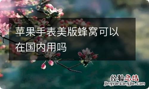 苹果手表美版蜂窝可以在国内用吗