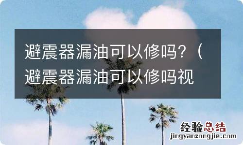 避震器漏油可以修吗视频 避震器漏油可以修吗?