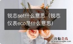 锐志仪表eco是什么意思 锐志set什么意思