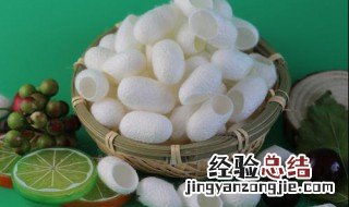 怎么保存一个完整的蚕茧 怎样保存完整的蚕茧