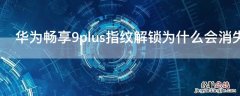 华为畅享 9Splus指纹解锁为什么会消失