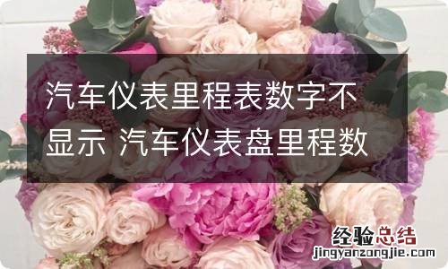 汽车仪表里程表数字不显示 汽车仪表盘里程数不显示怎么办