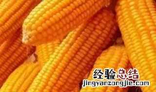 鲜玉米保鲜库 保鲜库怎么存放玉米