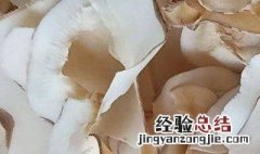 干海底椰片的正确泡发方法 干海底椰片的正确泡发方法是什么