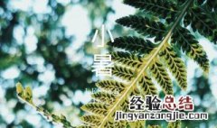 大暑节气的特点和风俗 小暑节气的特点和风俗